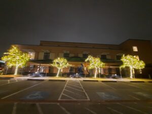 Lighting up your trees at your church for any season